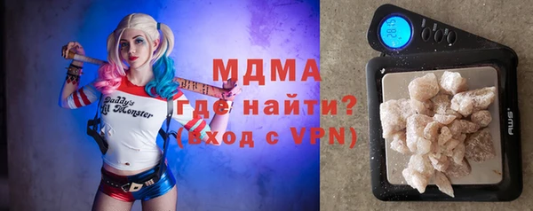 шишки Белокуриха