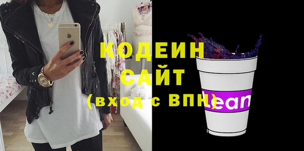 шишки Белокуриха