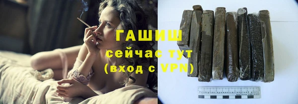 шишки Белокуриха