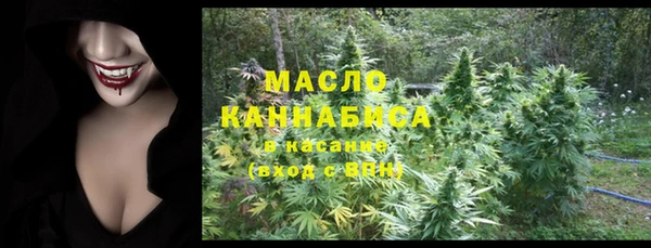 шишки Белокуриха