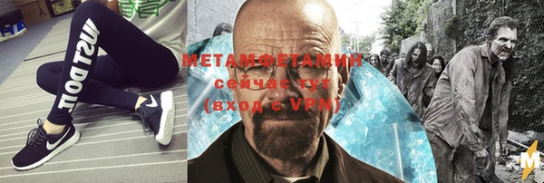шишки Белокуриха