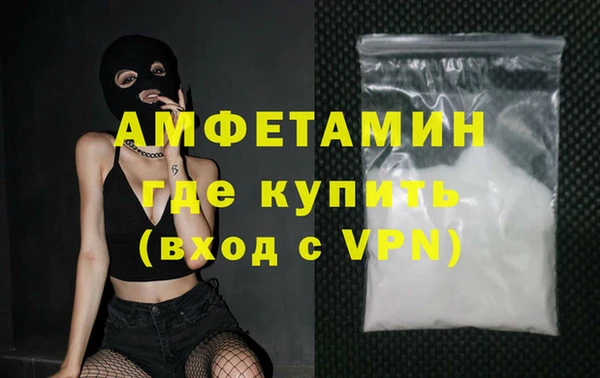 шишки Белокуриха