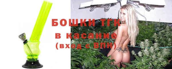 шишки Белокуриха