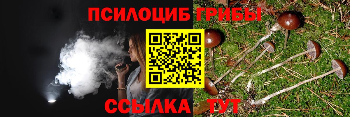 Псилоцибиновые грибы MAGIC MUSHROOMS  Галлюциногенные грибы MAGIC MUSHROOMS  наркотики  Вход с VPN  Горно-Алтайск 
