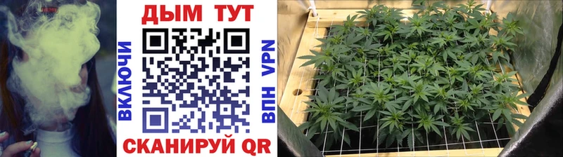 Марихуана SATIVA & INDICA  МЕГА ТОР  Горно-Алтайск 
